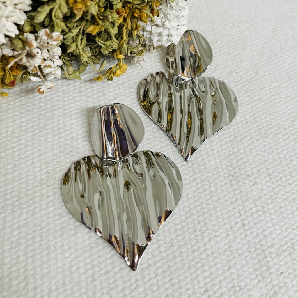 Stainless steel earrings