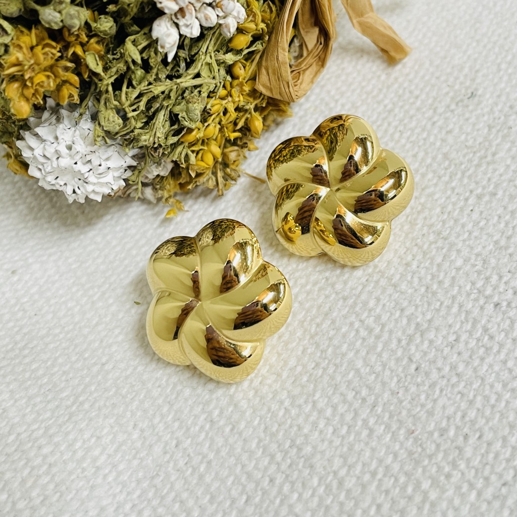 Stainless steel earrings
