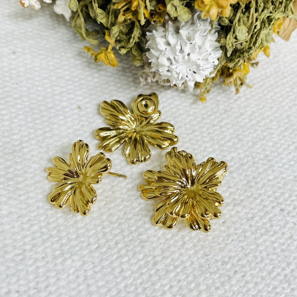 Stainless steel earrings