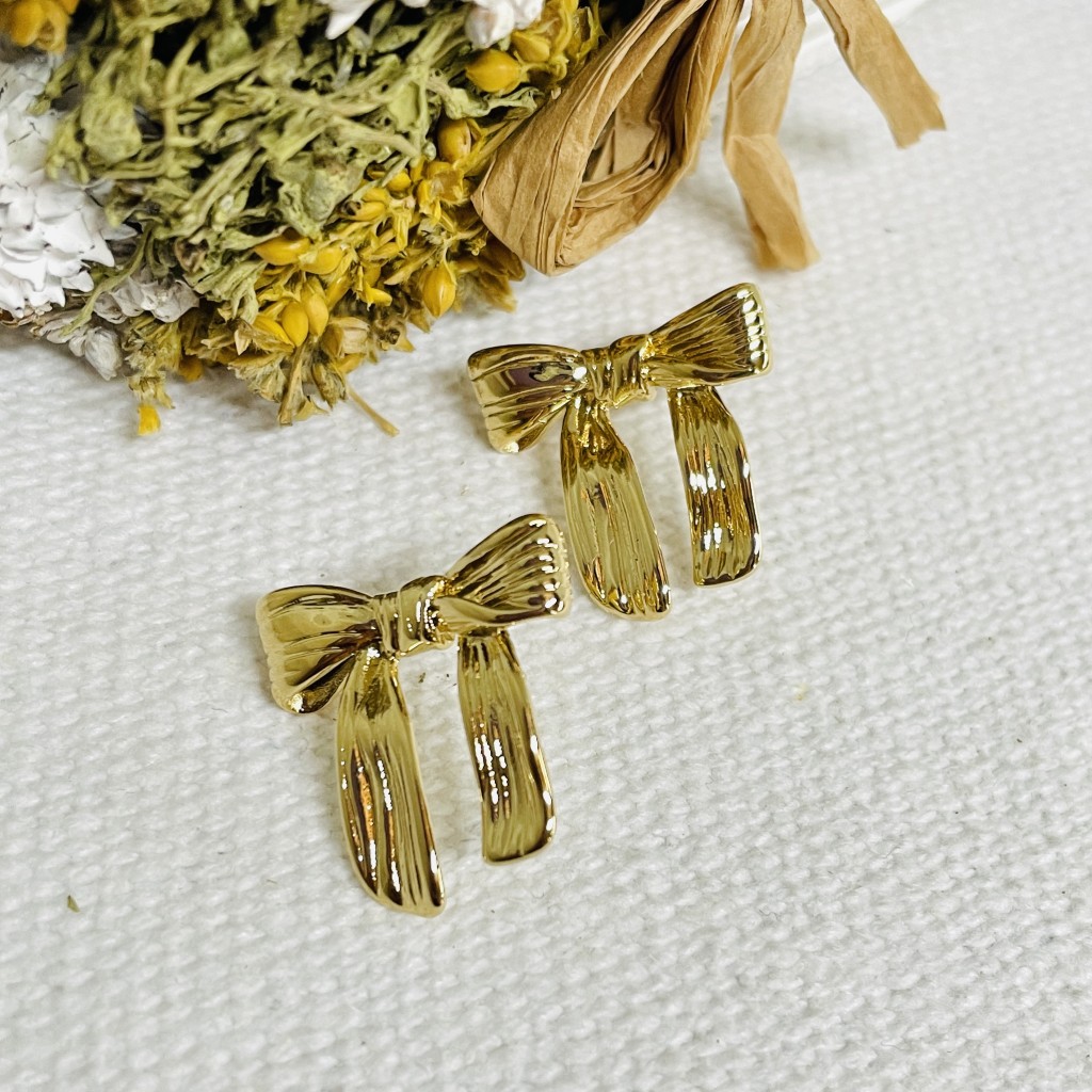 Stainless steel earrings