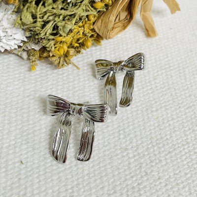 Stainless steel earrings