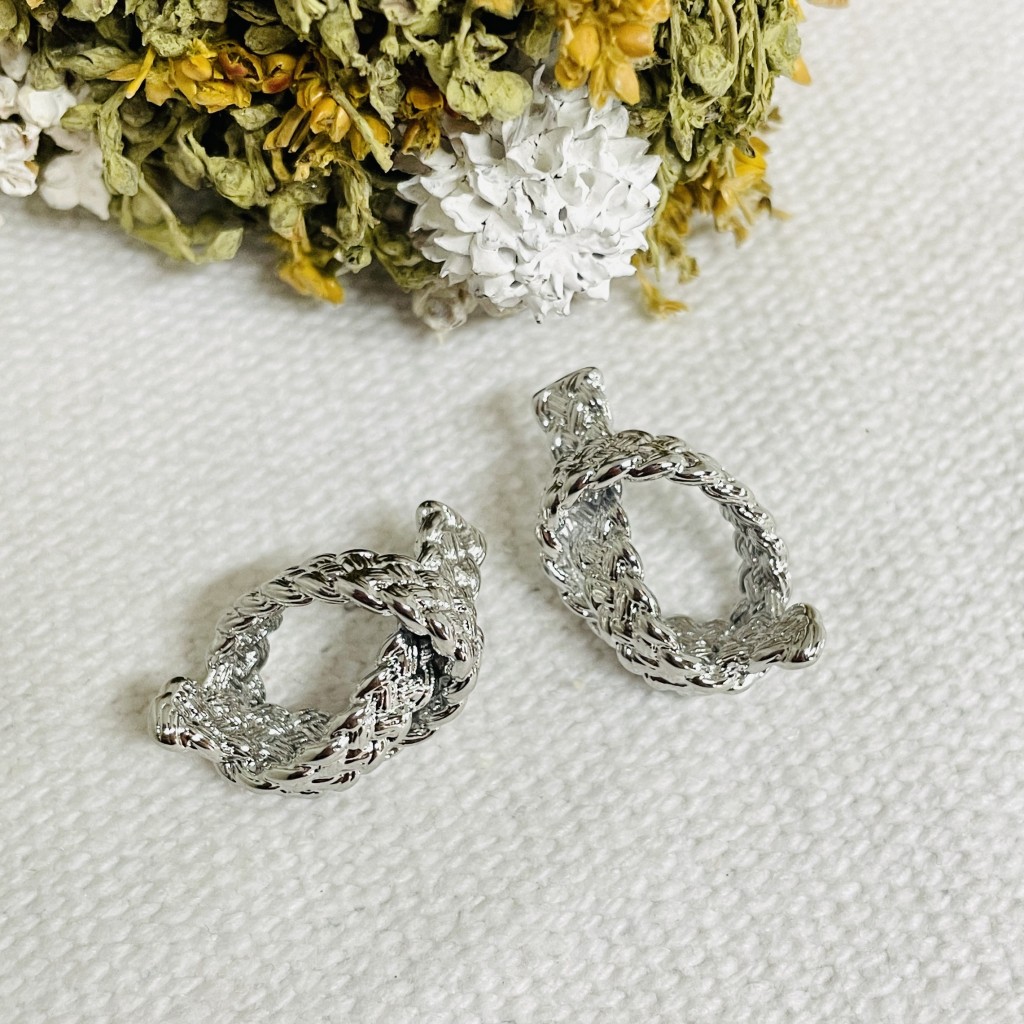 Stainless steel earrings