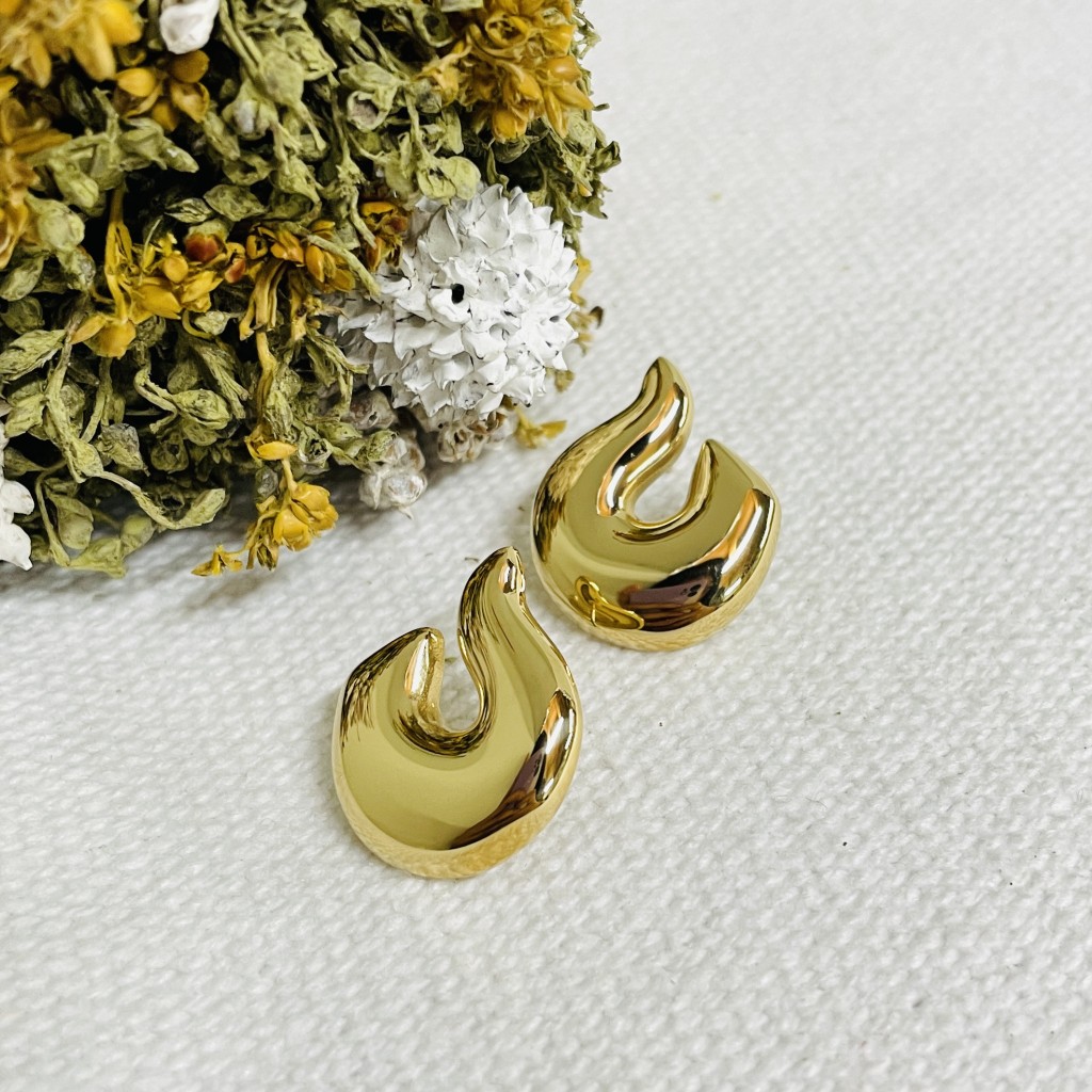 Stainless steel earrings