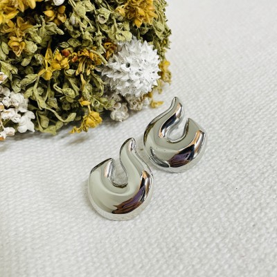 Stainless steel earrings