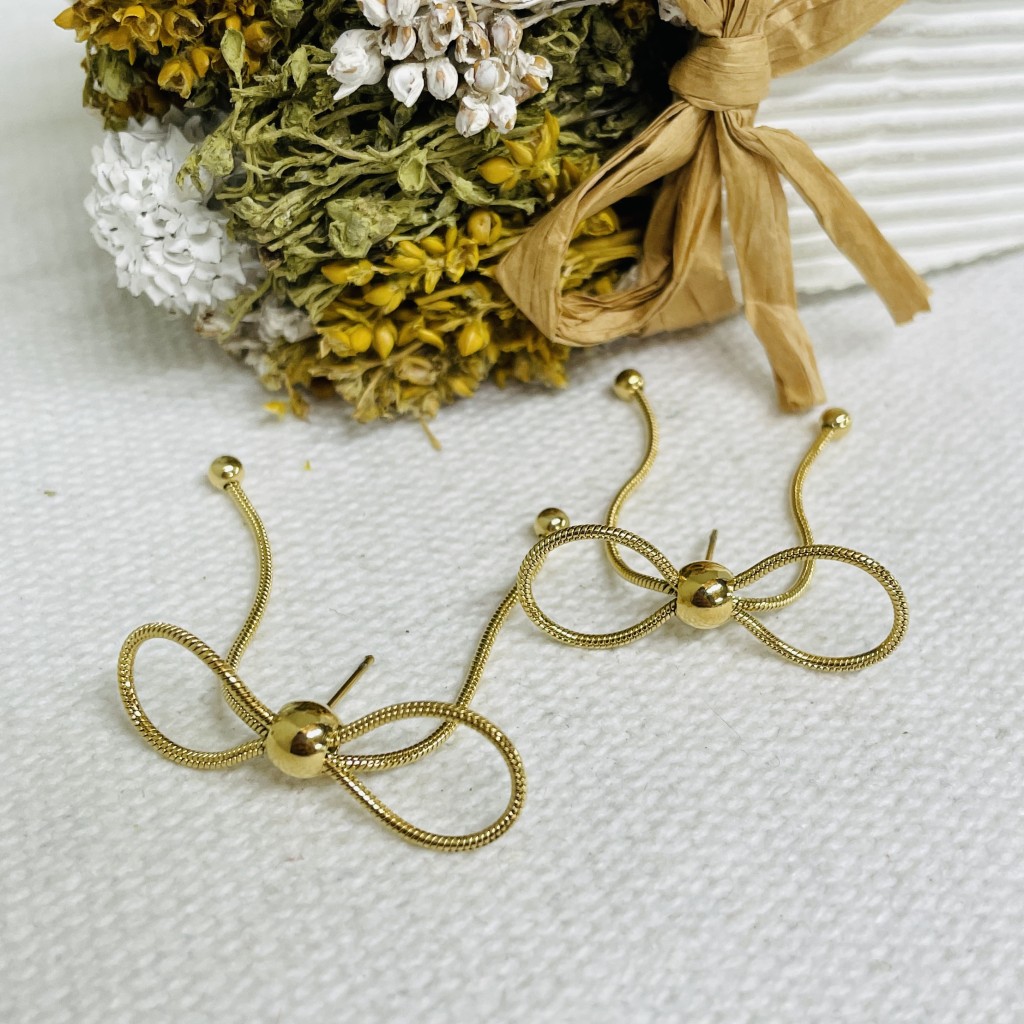 Stainless steel earrings