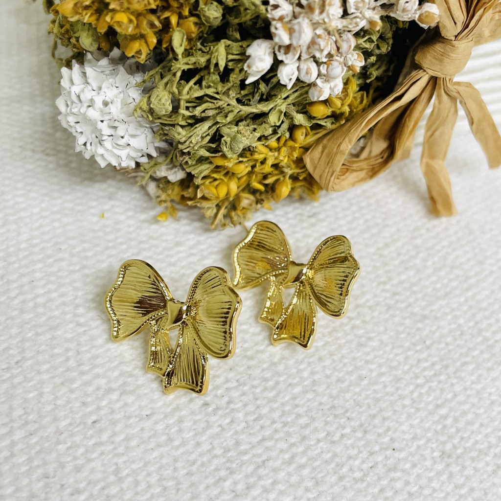 Stainless steel earrings