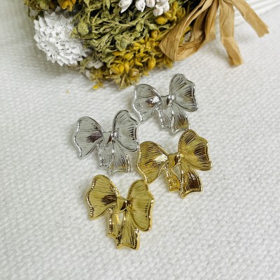 Stainless steel earrings