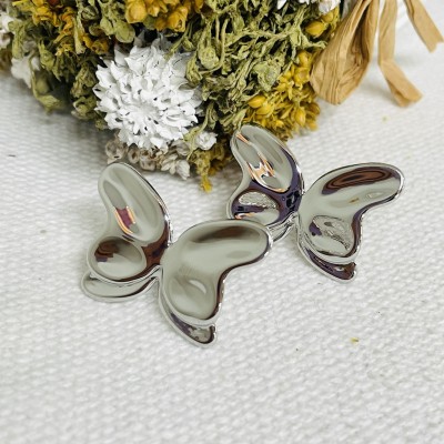 Stainless steel earrings