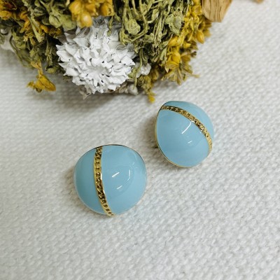 Stainless steel earrings