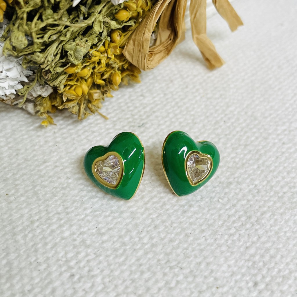 Stainless steel earrings