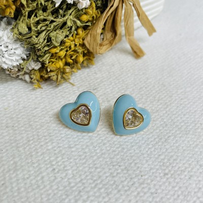Stainless steel earrings