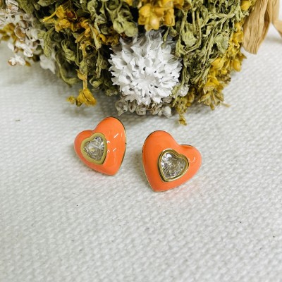 Stainless steel earrings