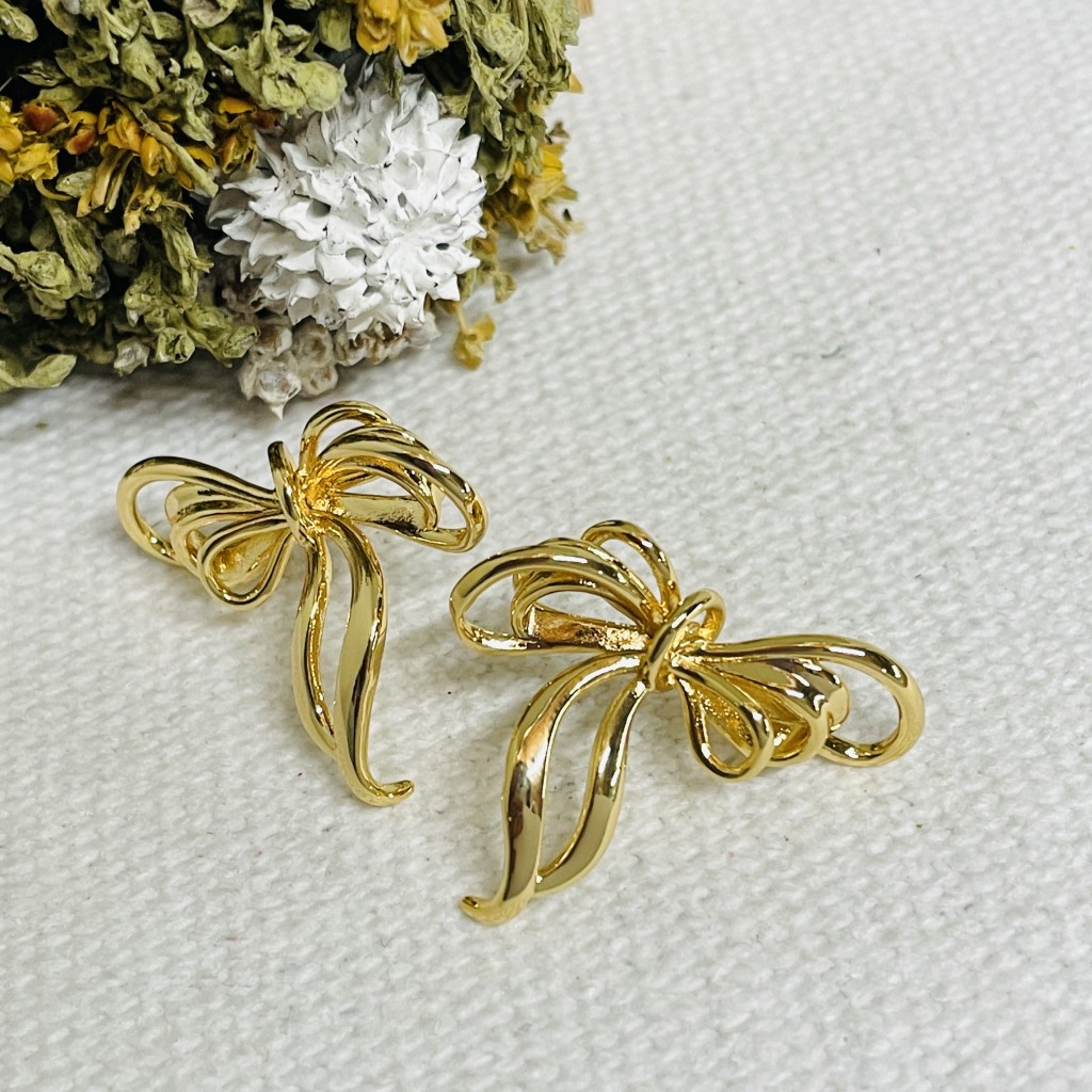 Stainless steel earrings