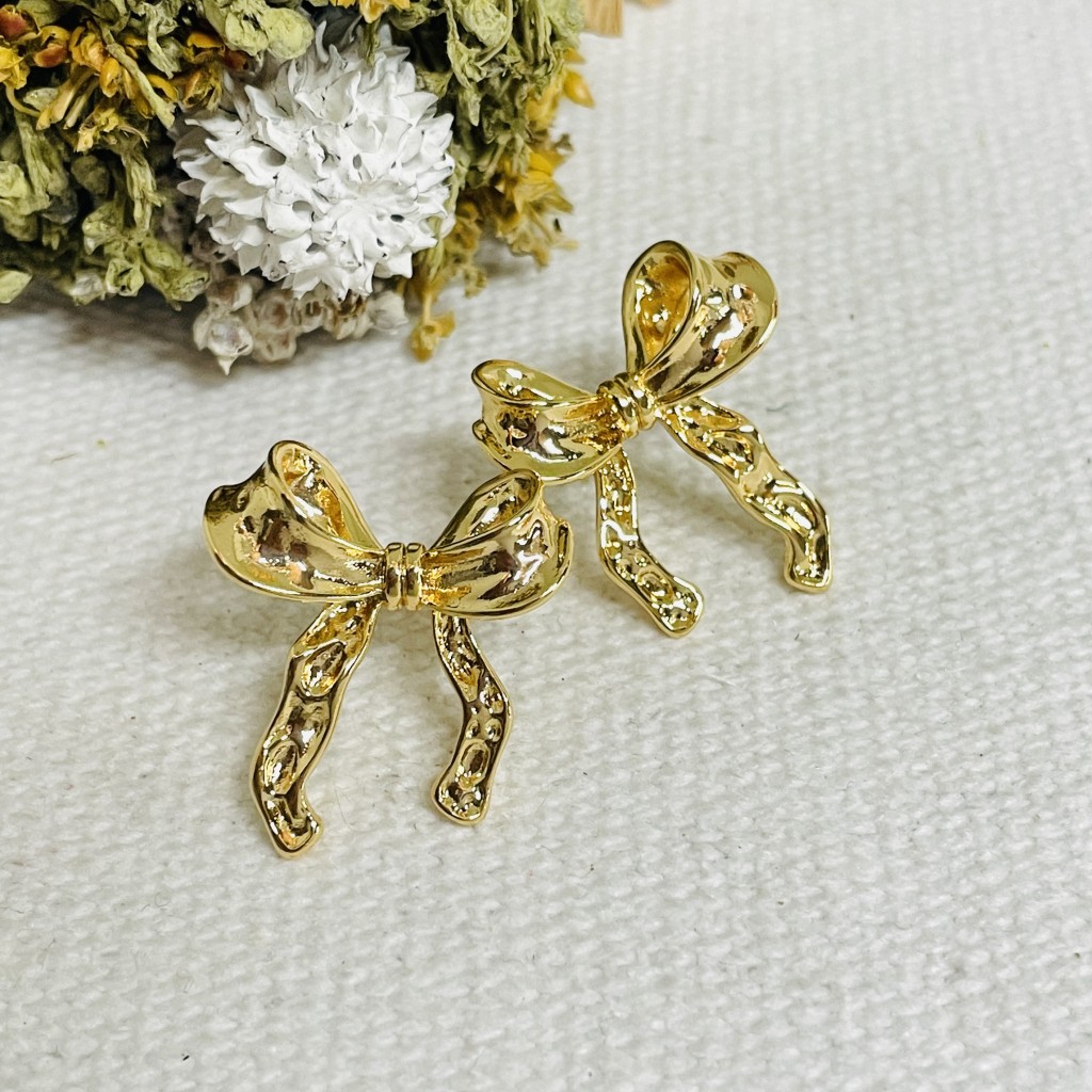 Stainless steel earrings