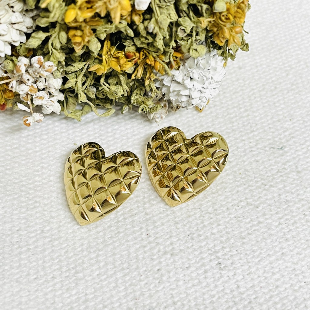Stainless steel earrings