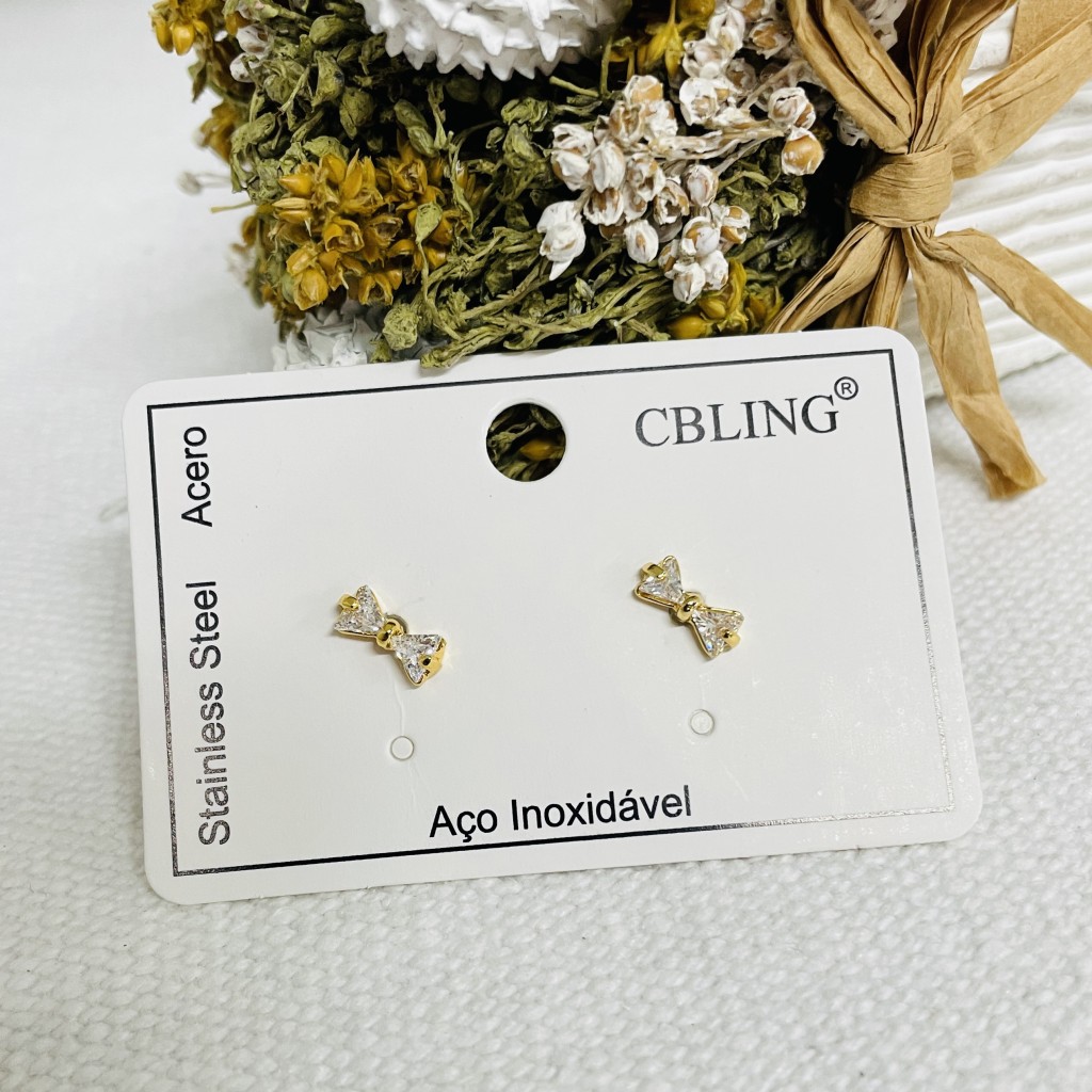 Stainless steel earrings