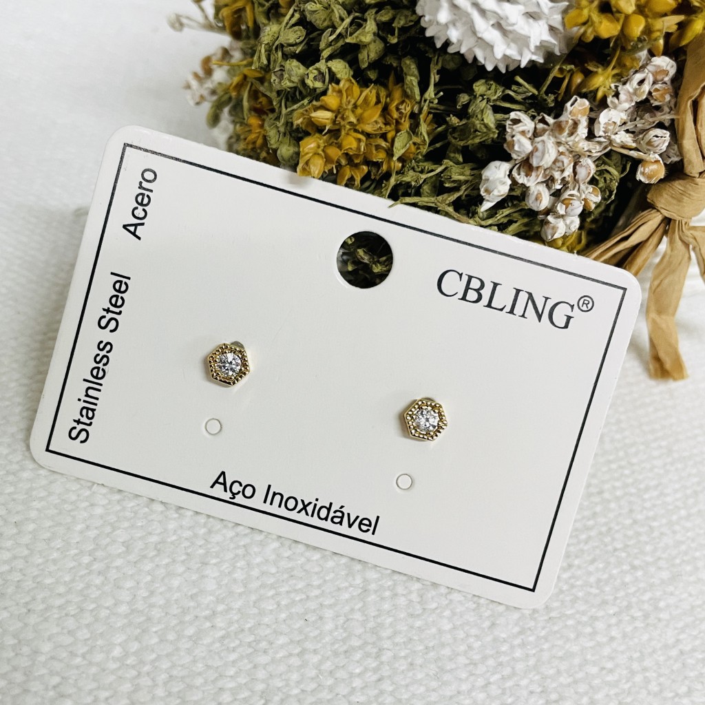 Stainless steel earrings