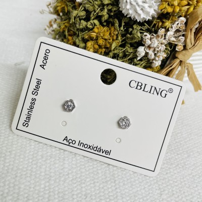 Stainless steel earrings
