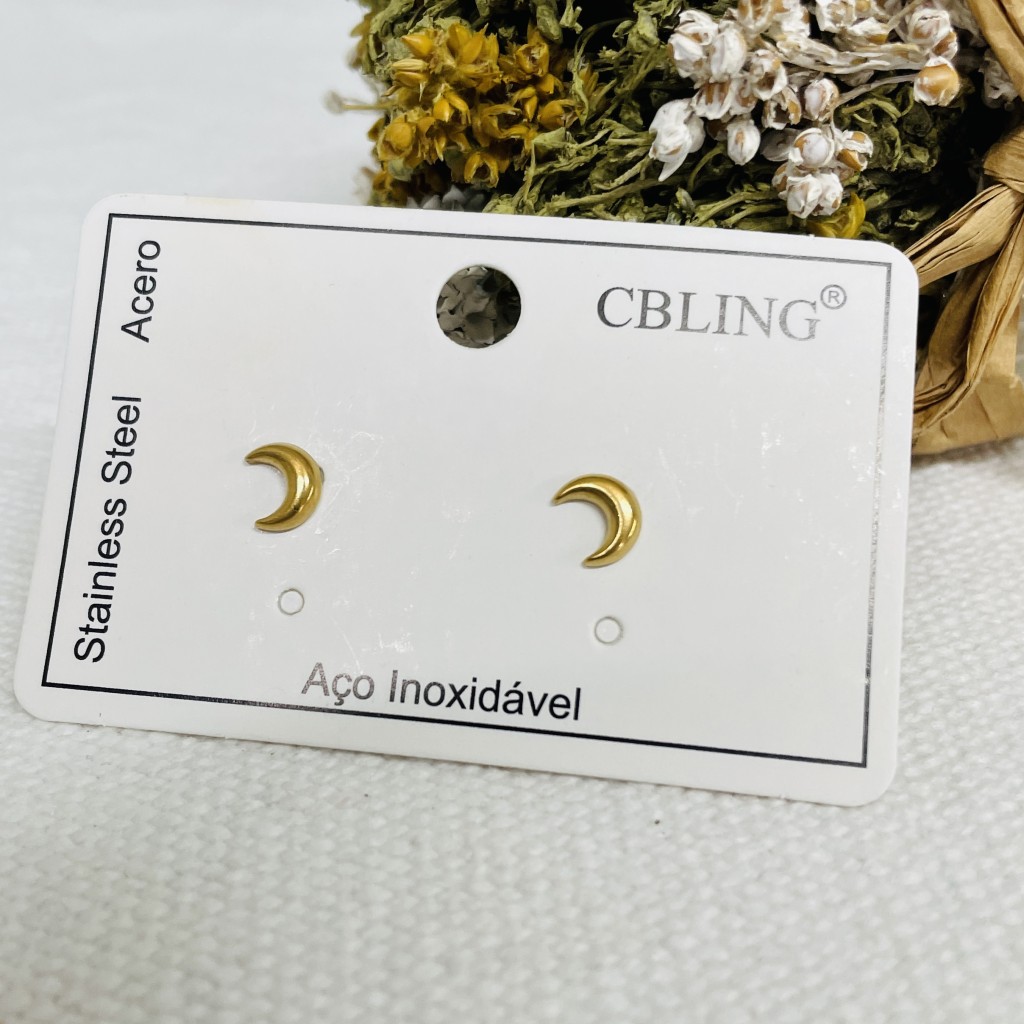 Stainless steel earrings