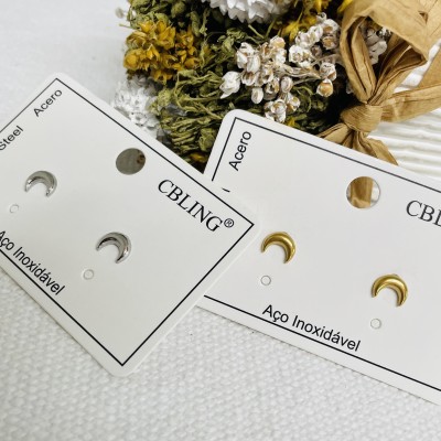 Stainless steel earrings