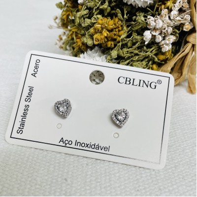 Stainless steel earrings