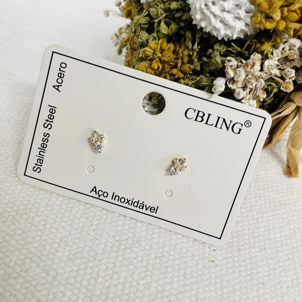Stainless steel earrings