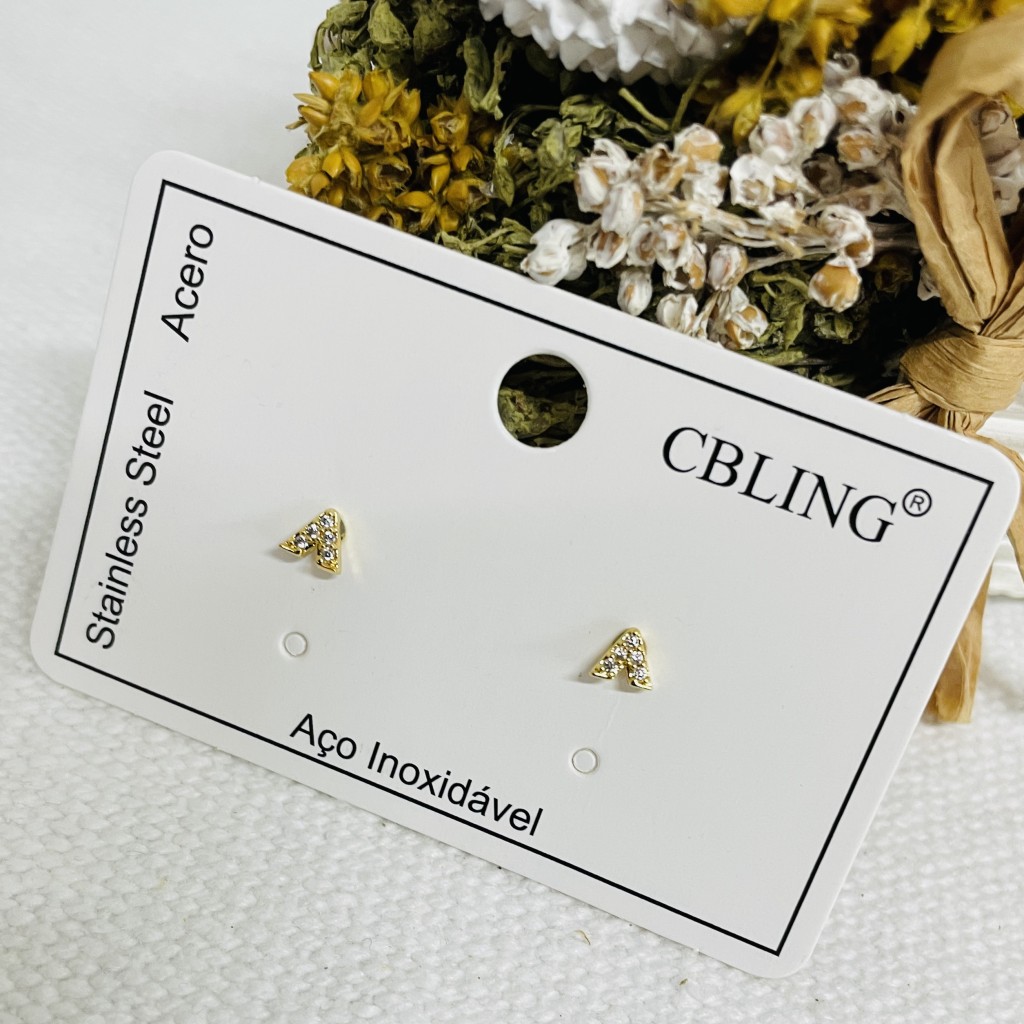Stainless steel earrings