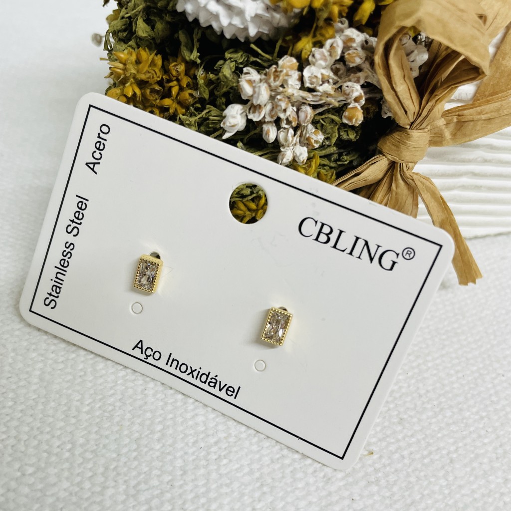 Stainless steel earrings