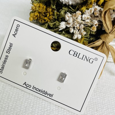 Stainless steel earrings