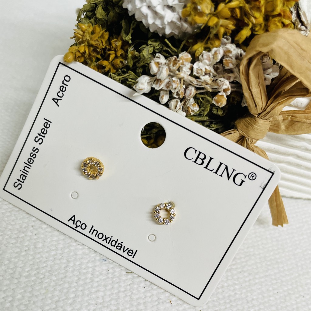 Stainless steel earrings