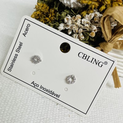 Stainless steel earrings