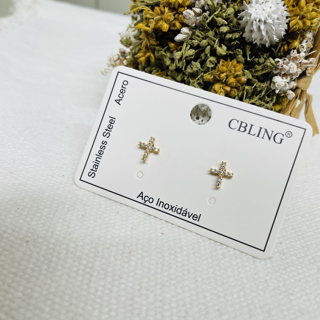 Stainless steel earrings