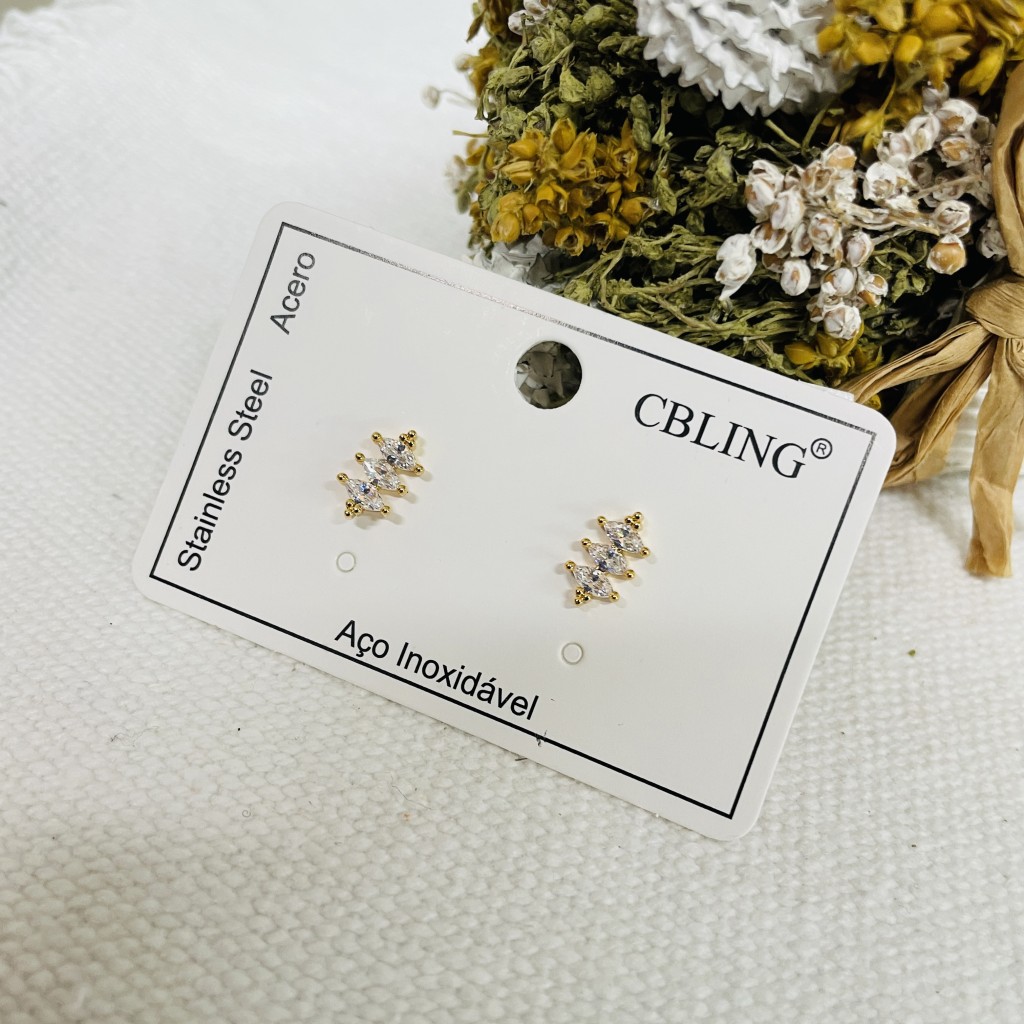 Stainless steel earrings