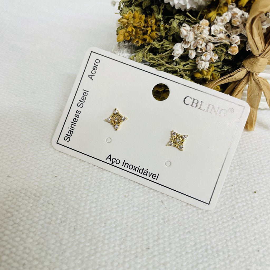 Stainless steel earrings