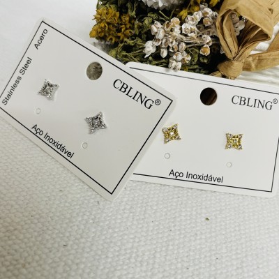 Stainless steel earrings