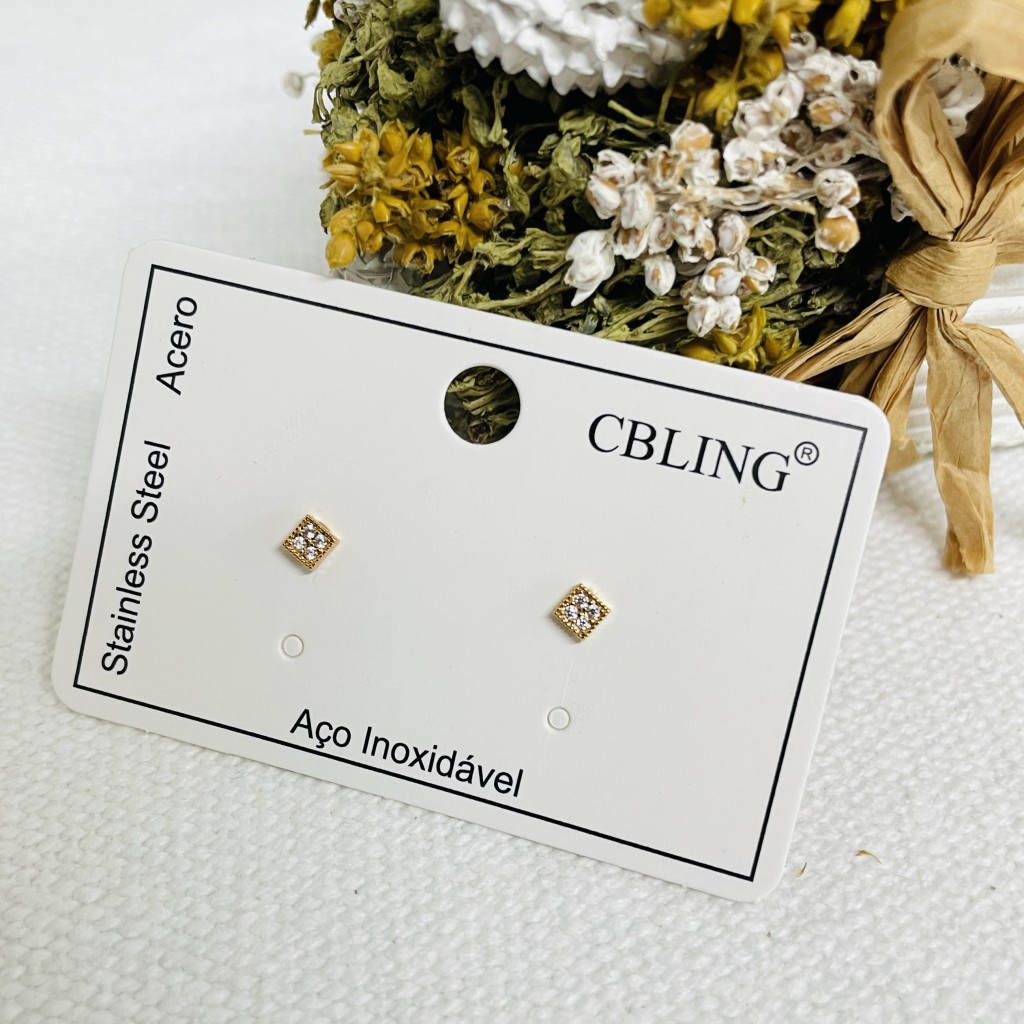 Stainless steel earrings