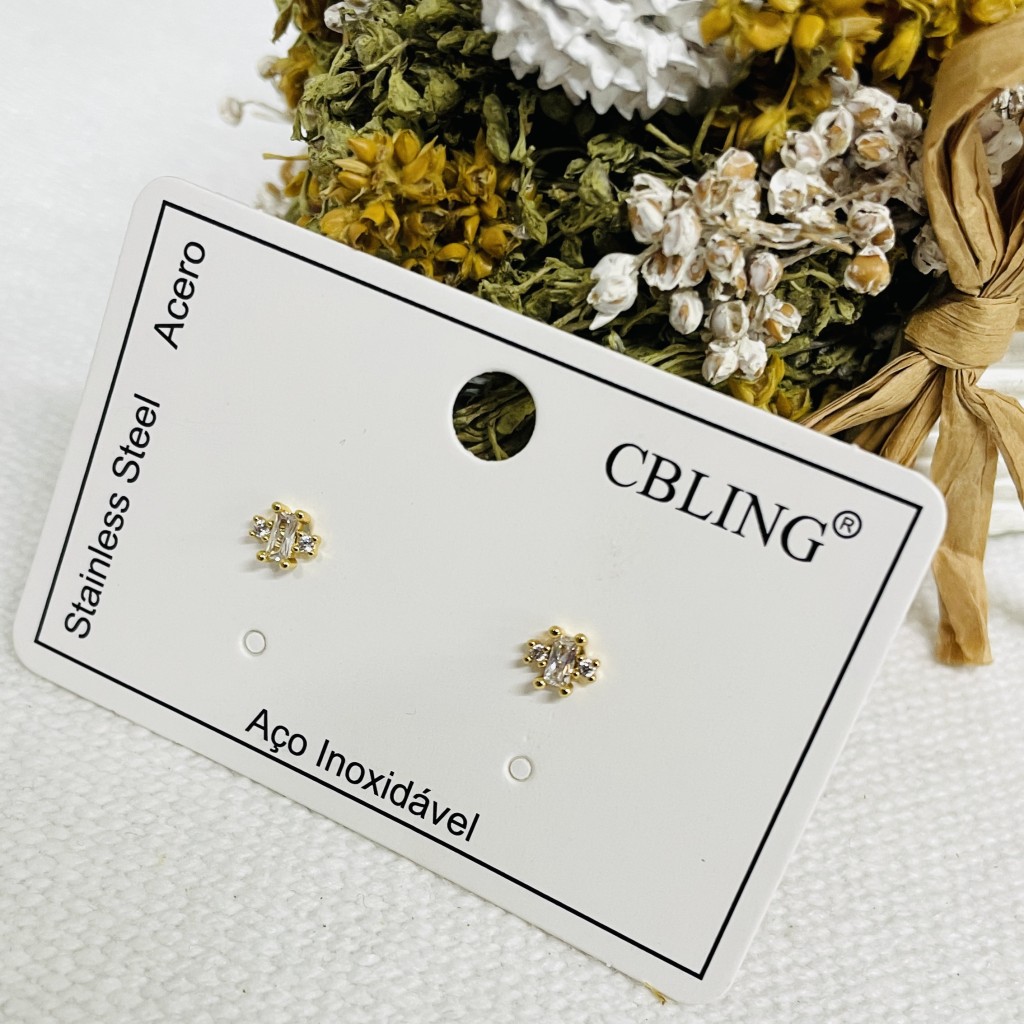 Stainless steel earrings