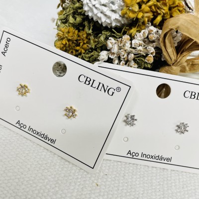 Stainless steel earrings