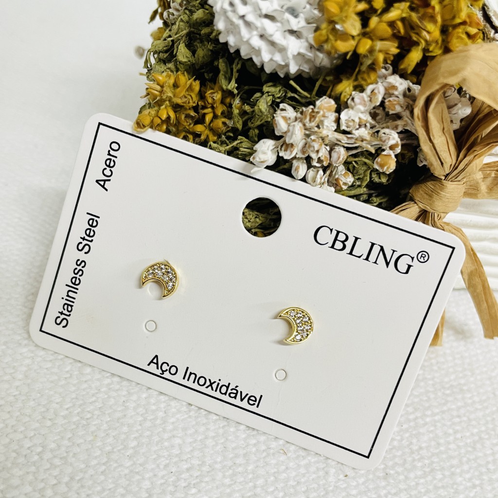 Stainless steel earrings