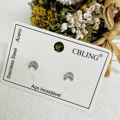 Stainless steel earrings