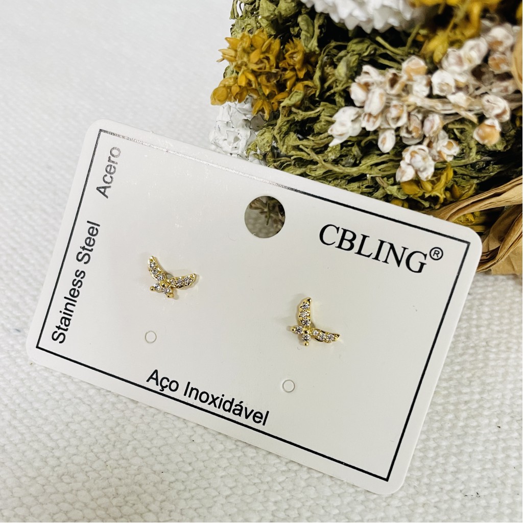 Stainless steel earrings