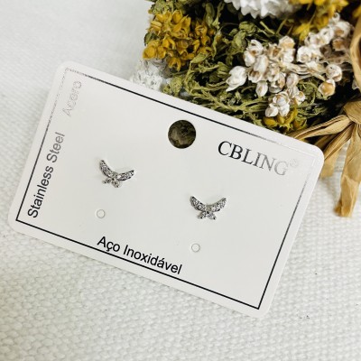 Stainless steel earrings