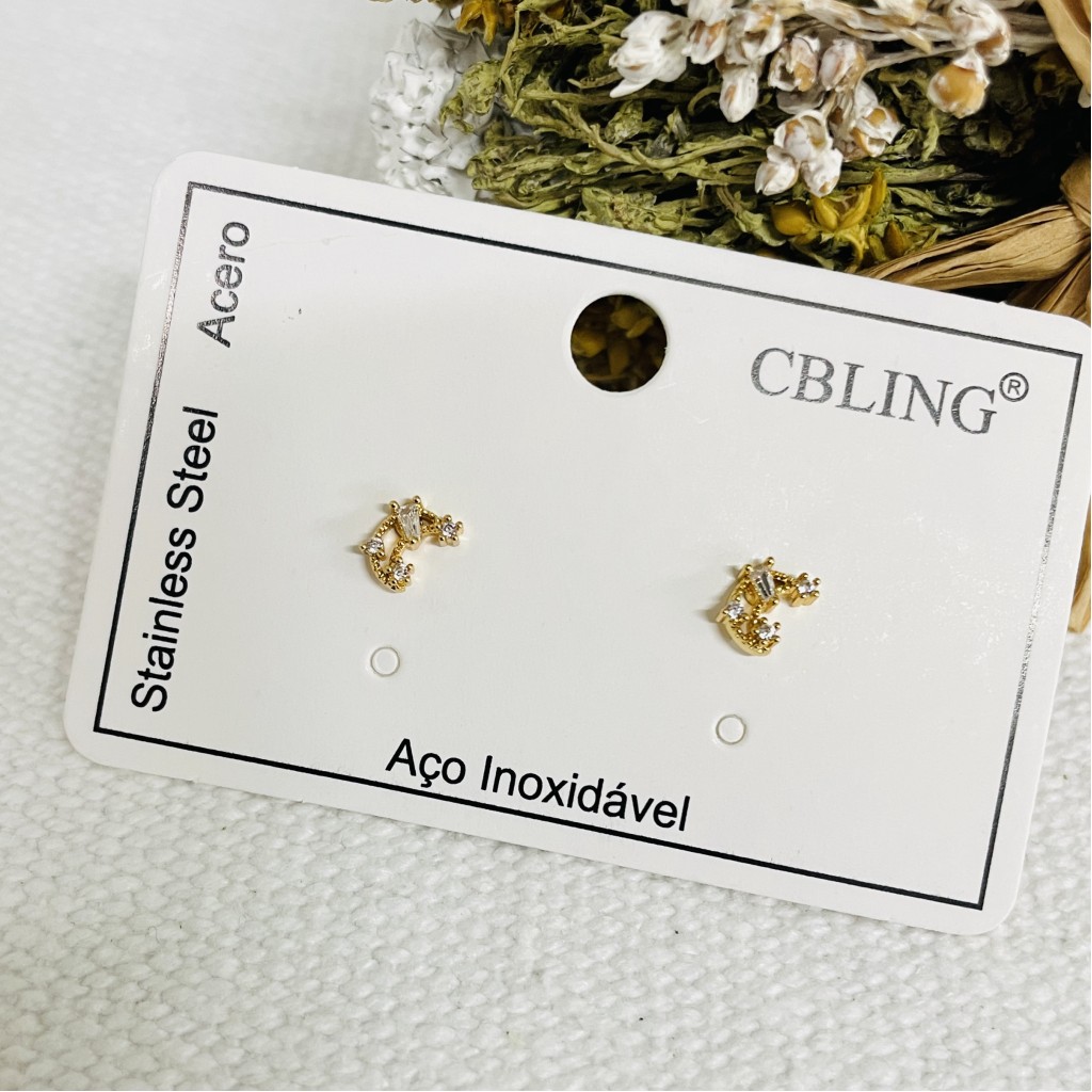 Stainless steel earrings