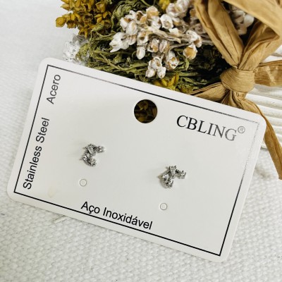 Stainless steel earrings