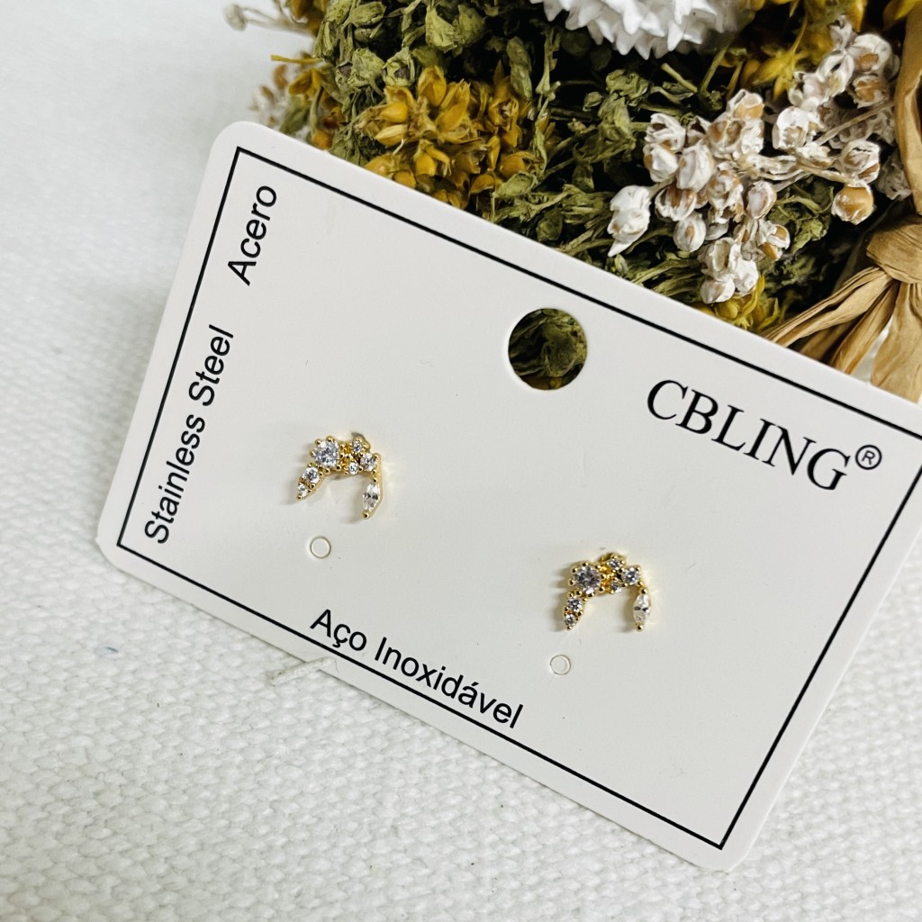Stainless steel earrings