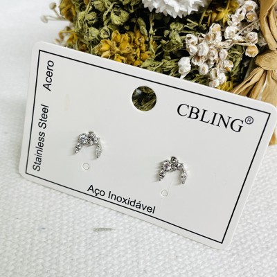 Stainless steel earrings