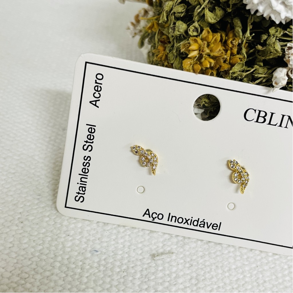 Stainless steel earrings