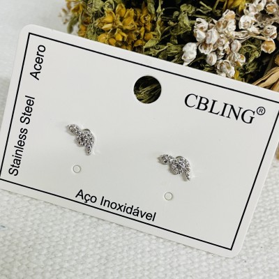 Stainless steel earrings