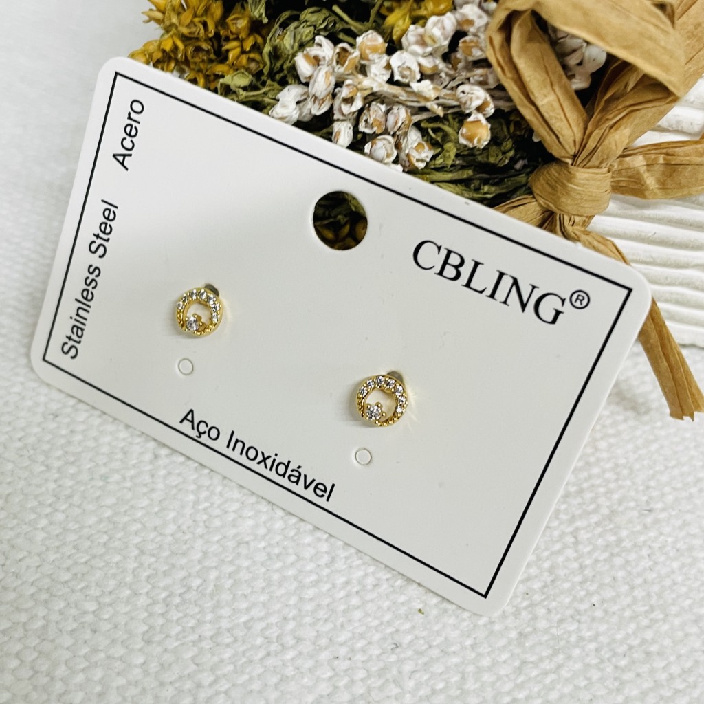 Stainless steel earrings