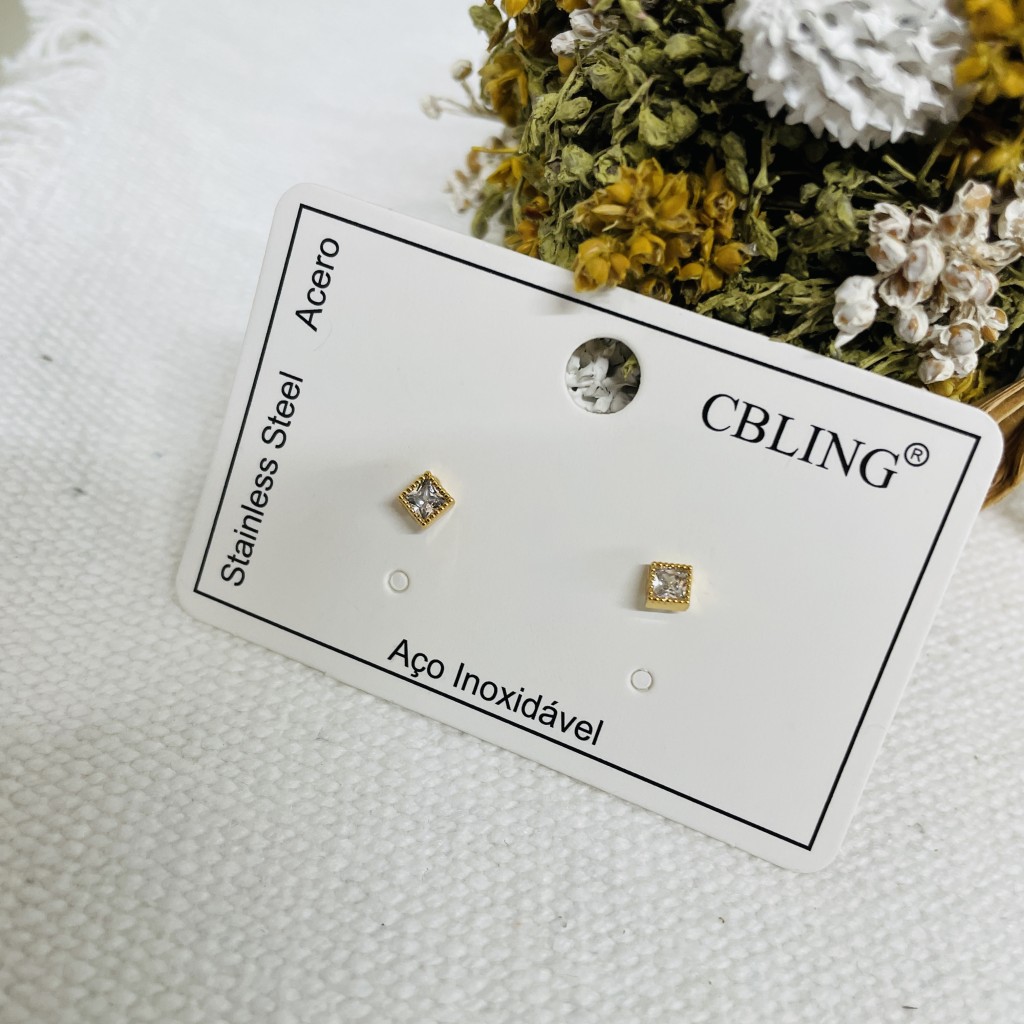 Stainless steel earrings